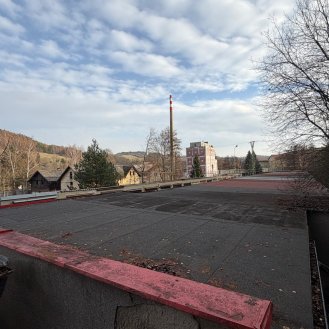 Brněnec